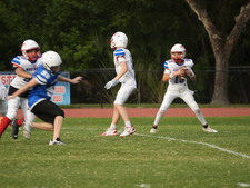 Enlarge photo 449