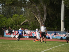Enlarge photo 459