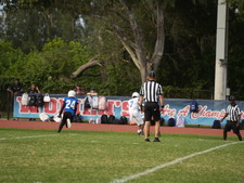 Enlarge photo 461