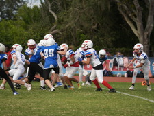Enlarge photo 502