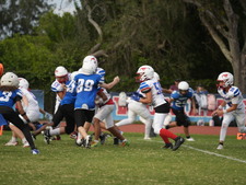 Enlarge photo 503