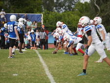 Enlarge photo 508