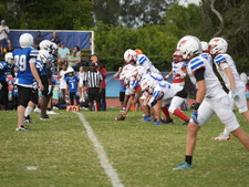 Enlarge photo 509