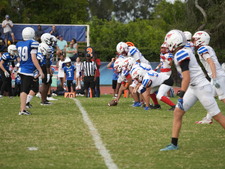 Enlarge photo 510