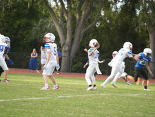 Enlarge photo 754