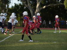Enlarge photo 841