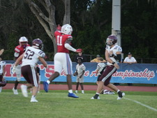 Enlarge photo 102