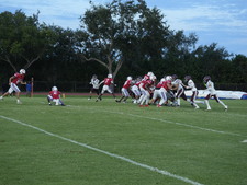 Enlarge photo 251