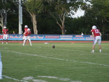 Enlarge photo 524