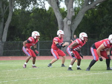 Enlarge photo 90