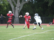 Enlarge photo 139