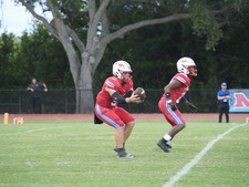 Enlarge photo 168