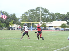 Enlarge photo 181
