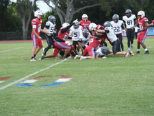 Enlarge photo 228