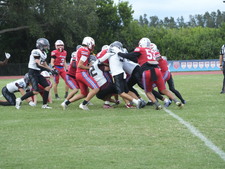 Enlarge photo 240