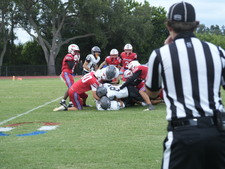 Enlarge photo 249