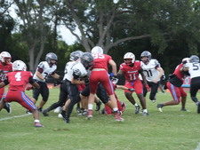 Enlarge photo 260