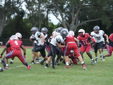 Enlarge photo 263