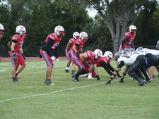Enlarge photo 264