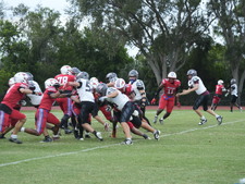 Enlarge photo 271