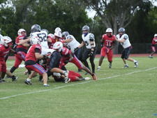 Enlarge photo 274