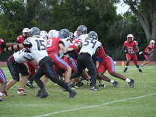 Enlarge photo 287