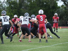 Enlarge photo 291