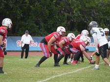 Enlarge photo 347