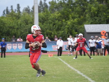 Enlarge photo 378