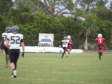 Enlarge photo 424