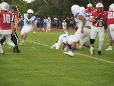 Enlarge photo 446