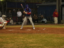 Enlarge photo 251