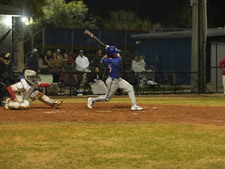 Enlarge photo 445