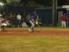 Enlarge photo 450