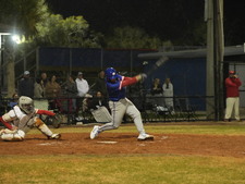 Enlarge photo 479