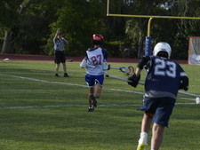Enlarge photo 41