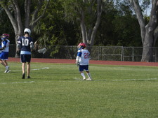 Enlarge photo 57