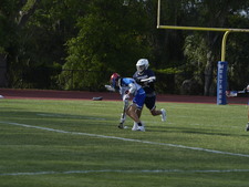 Enlarge photo 73