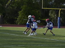 Enlarge photo 80