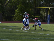Enlarge photo 82