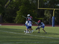 Enlarge photo 83
