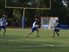 Enlarge photo 86