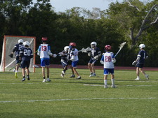 Enlarge photo 113