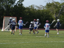 Enlarge photo 115