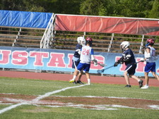 Enlarge photo 135