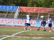 Enlarge photo 136