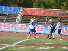 Enlarge photo 137