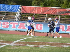 Enlarge photo 139