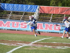 Enlarge photo 140
