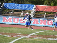 Enlarge photo 141